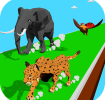 Animal Transform Race 3D