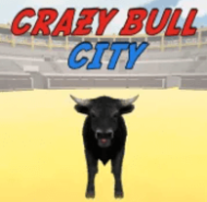 Crazy Bull City