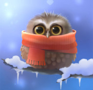 Cute Owl Slide