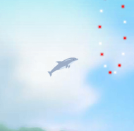 Dolphin Olympics