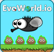 EvoWorld.io