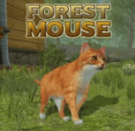 Forest Mouse