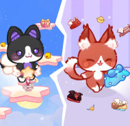 Lovely Cat Pet Life