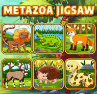 Metazoa Jigsaw