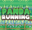 Panda Running