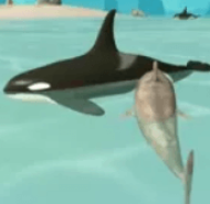 Shark Simulator