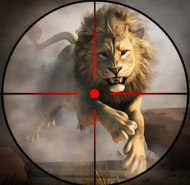Wild Life Hunting