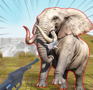 Zoo Anomaly Simulation